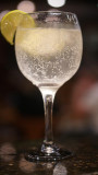 Gin Tônica - Gin com Pomelo