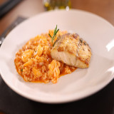 Congrio com Risoto de Camarão