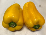 Pimentão Amarelo