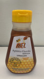Mel Apiário Gazola Bisnaga 250g