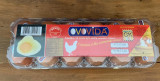 Ovos Vermelhos Tipo Extra Ovovida 12UN