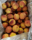 Pêssego Branco/Amarelo