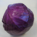 Repolho Roxo