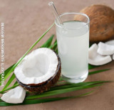 ÁGUA DE CÔCO (Garrafa)