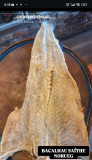 BACALHAU SAÍTHE NORUEG KG